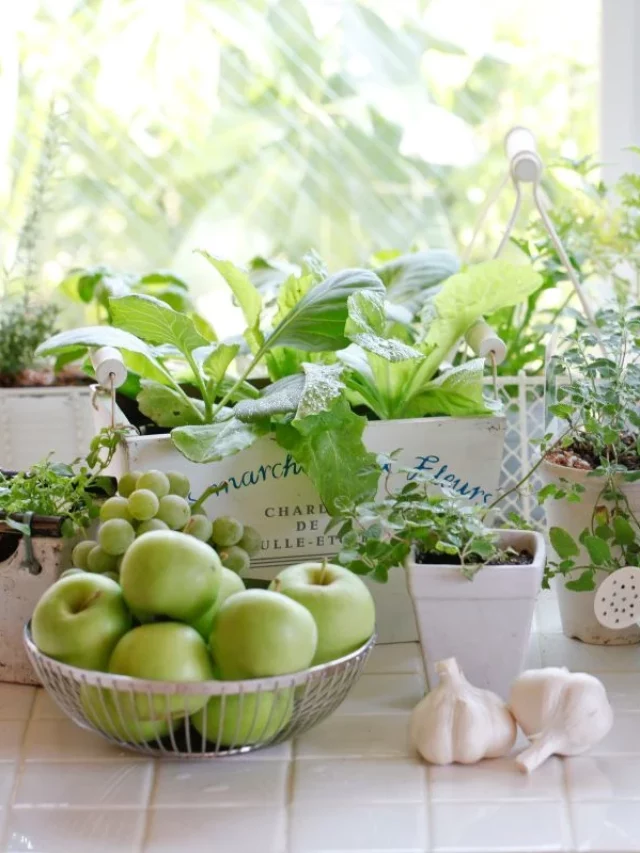 Horta em Apartamento Casa (6)