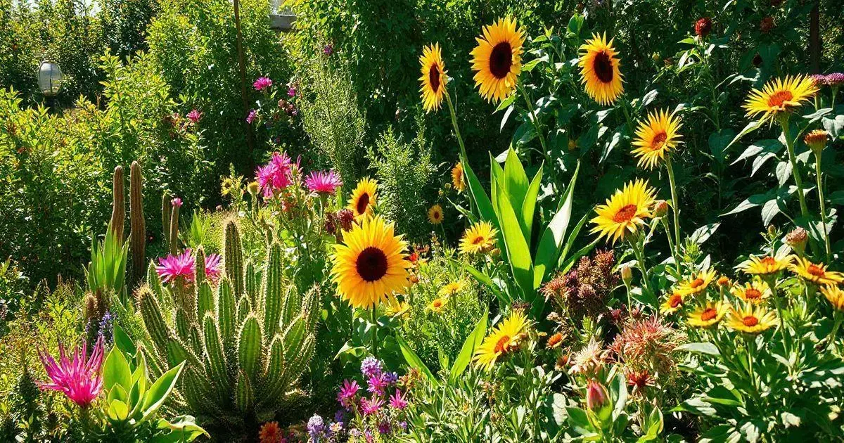 10 Plantas que Adoram Sol Direto para um Jardim Exuberante