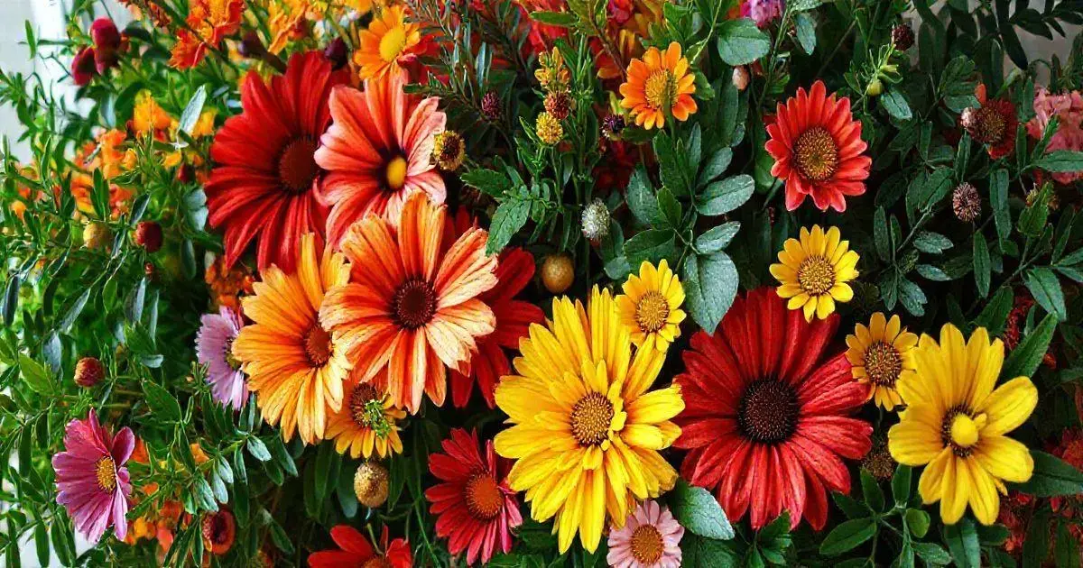 Cores Que Inspiram: Dicas para Combinar Flores e Folhagens