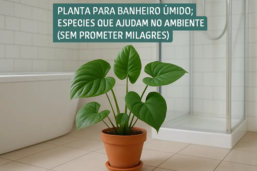 planta banheiro umido regando samambaia Planta samambaia verde saudável sobre bancada de banheiro com azulejos claros úmidos ao fundo e mãos femininas regando com regador metálico pequeno